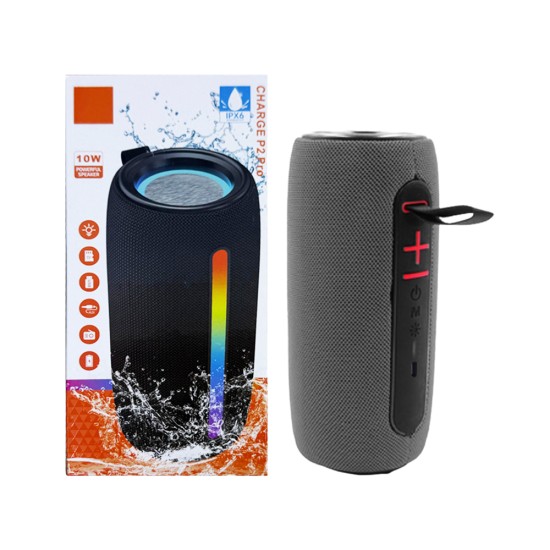 Ailiang Portable Wireless Speaker Charge P2 Pro Gray